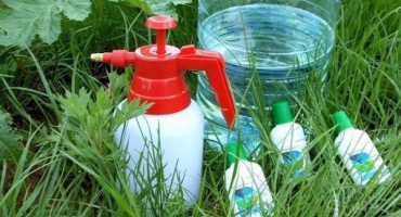 Použití herbicidů na zelí po a před klíčením